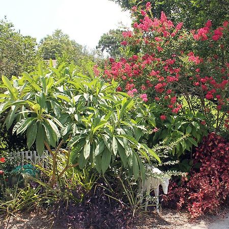 Heron Cay Lakeview Bed & Breakfast เมาท์ดอรา ภายนอก รูปภาพ
