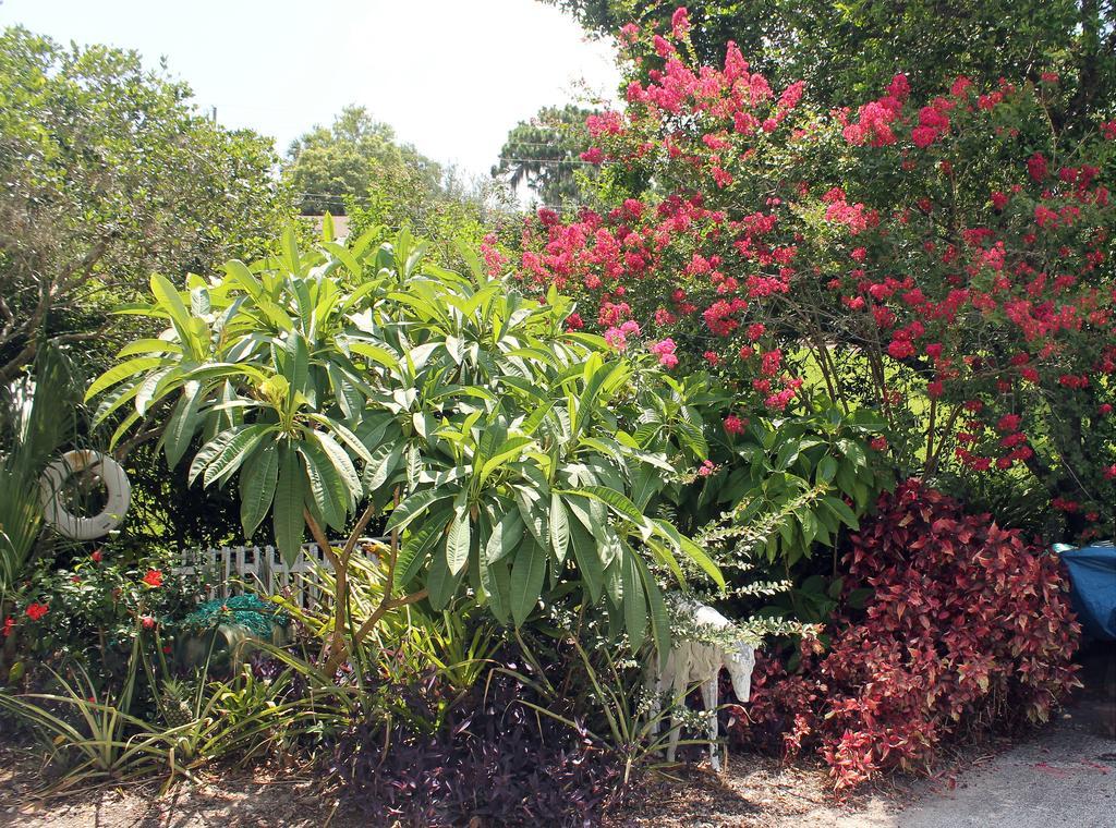 Heron Cay Lakeview Bed & Breakfast เมาท์ดอรา ภายนอก รูปภาพ